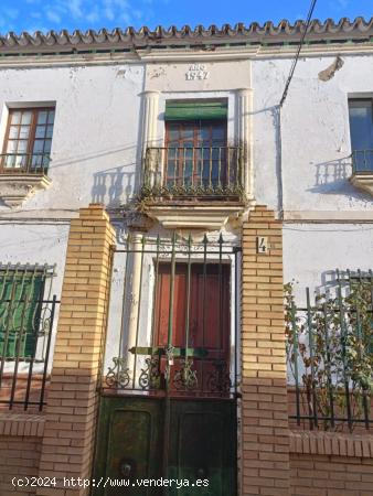 CHALET DE DOÑA PACA EN GUILLENA, SEVILLA. - SEVILLA