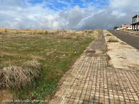 VENTA DE DOS SOLARES EN GUILLENA, SEVILLA. - SEVILLA