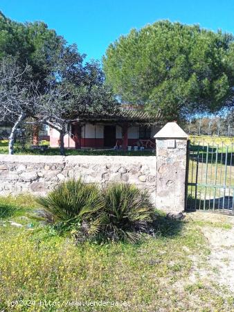 OPORTUNIDAD DE FINCA EN CARRETERA CASTIBLANCO DE LOS ARROYOS, SEVILLA. - SEVILLA