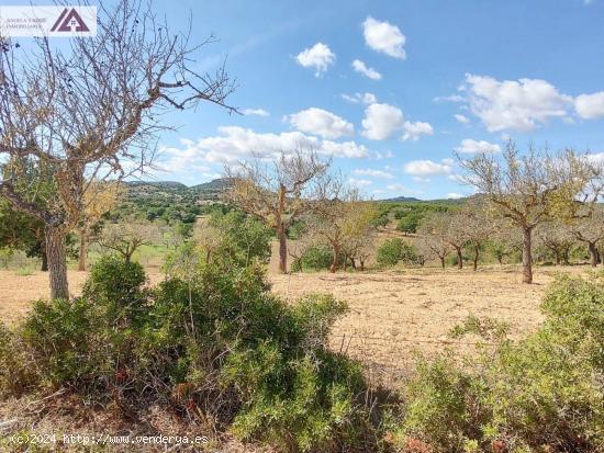 Terreno con permiso de construcción - BALEARES