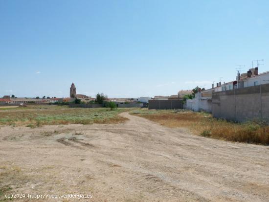 GRAN TERRENO EN MAHORA (ALBACETE) - ALBACETE