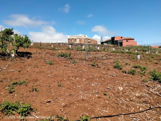 Se Vende en San Cristobal de La Laguna - SANTA CRUZ DE TENERIFE