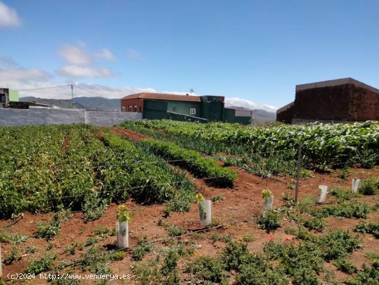 Se Vende en San Cristobal de La Laguna - SANTA CRUZ DE TENERIFE