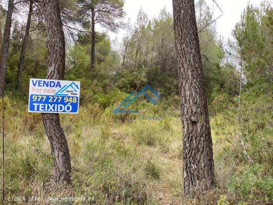 Se Vende en El Montmell - TARRAGONA