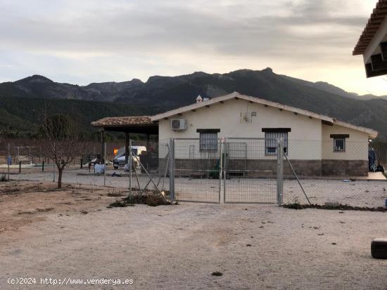  Finca con dos casas adosadas - MURCIA 