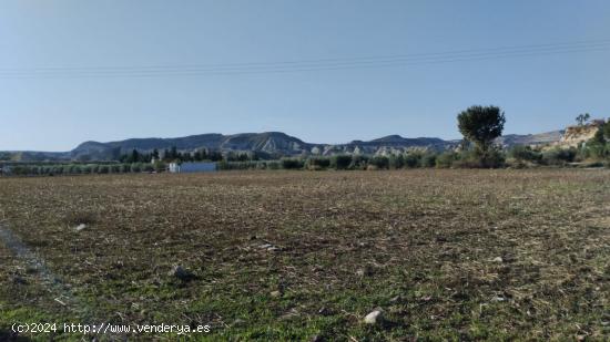  PARCELA RÚSTICA EN CAMPOS DEL RÍO - MURCIA 