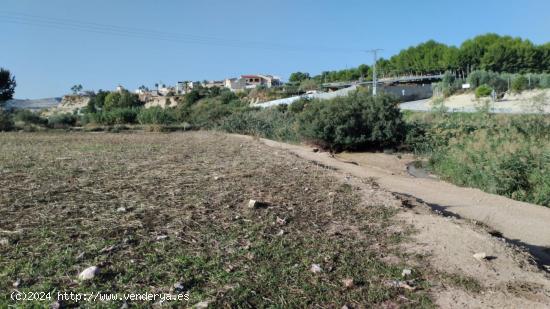 PARCELA RÚSTICA EN CAMPOS DEL RÍO - MURCIA