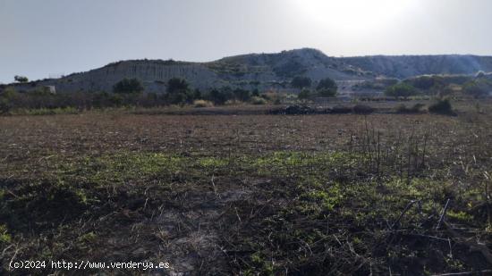  PARCELA RÚSTICA 678 m2 EN CAMPOS DEL RÍO - MURCIA 