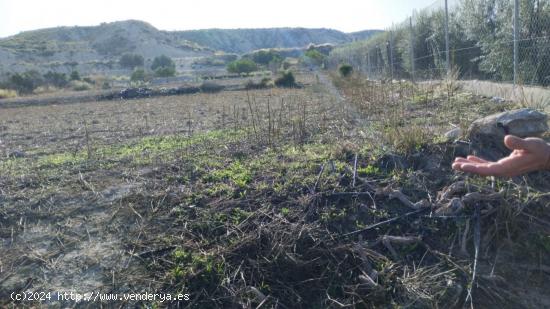 PARCELA RÚSTICA 678 m2 EN CAMPOS DEL RÍO - MURCIA