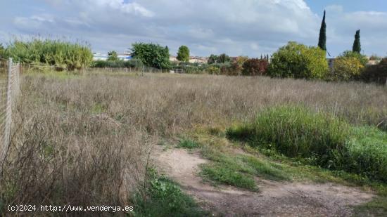 Parcela- Paraje la hijuela (Molina de Segura) - MURCIA