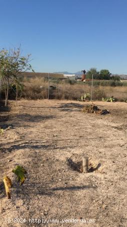 SE VENDE PARCELA EN SANGONERA LA SECA DE 770 M2 NO URBANIZABLE - MURCIA