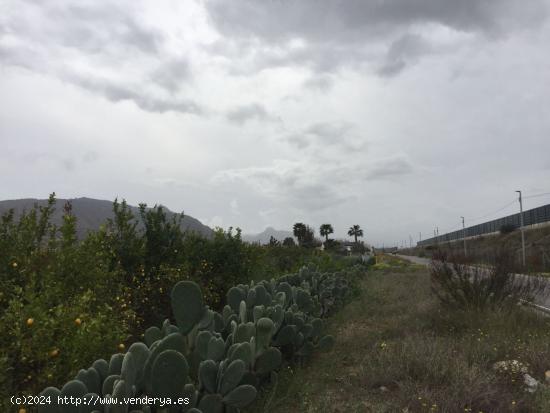  Terreno Rural - Alquerías - MURCIA 