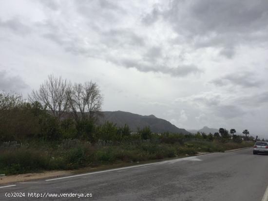 Terreno Rural - Alquerías - MURCIA