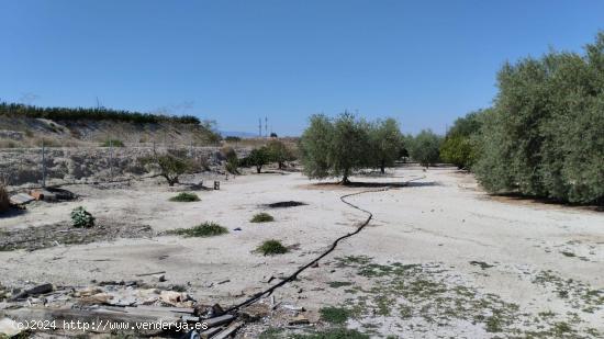 Terreno Rústico - El Panderón, Molina de Segura - MURCIA