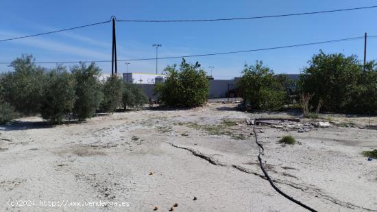 Terreno Rústico - El Panderón, Molina de Segura - MURCIA