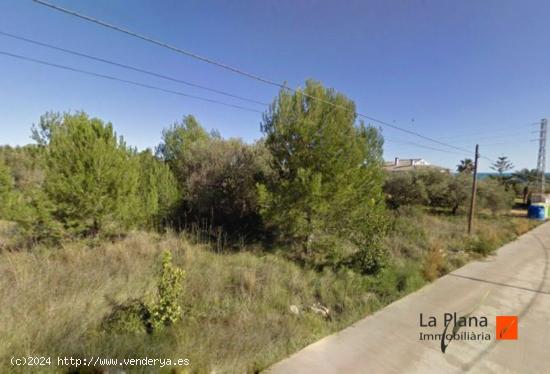 FANTASTICA PARCELA URBANIZABLE EN VENTA EN ALCANAR (TARRAGONA) - TARRAGONA