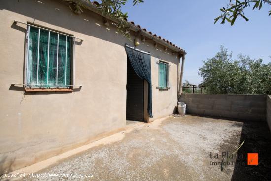  FINCA RÚSTICA EN MASDENVERGE (TARRAGONA) - TARRAGONA 