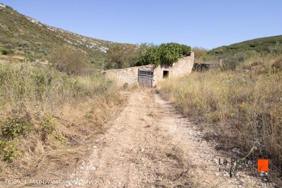 FINCA RUSTICA CON CASETA EN VENTA EN MAS DE BARBERANS (TARRAGONA) - TARRAGONA