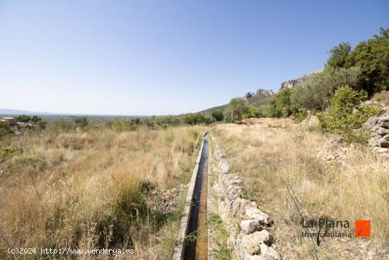 FINCA RUSTICA CON CASETA EN VENTA EN MAS DE BARBERANS (TARRAGONA) - TARRAGONA