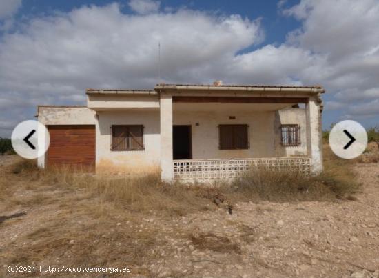 CASA DE APERO 70 M2 / TERRENO 38 340 M2 / LUZ / AGUA DE RIEGO - ALICANTE