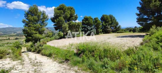 FINCA RUSTICA PARA REHABILITAR - VALENCIA