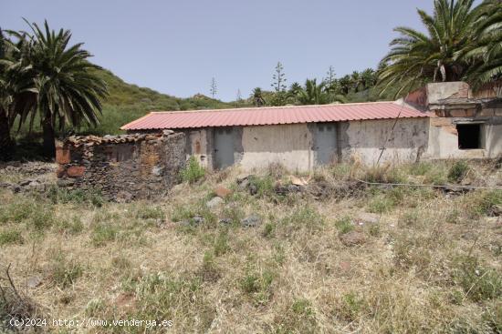  Venta de Terreno de 6,554 m² con Vivienda en La Gomera Vegaipala – ¡Oportunidad Única!! - SANTA 