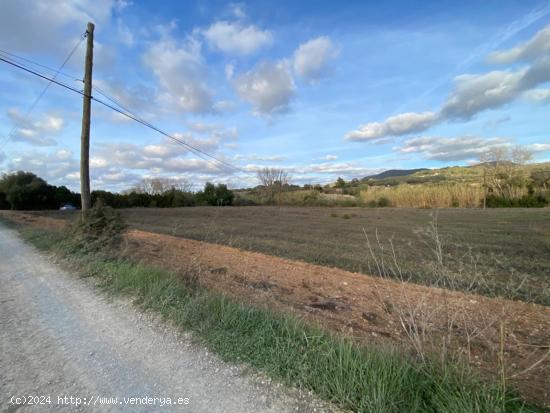 SOLAR CON PROYECTO APROVADO DE CASA INDEPENDIENTE zona MANACOR - BALEARES