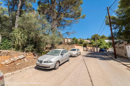 Solar Urbano en Son Roqueta - BALEARES