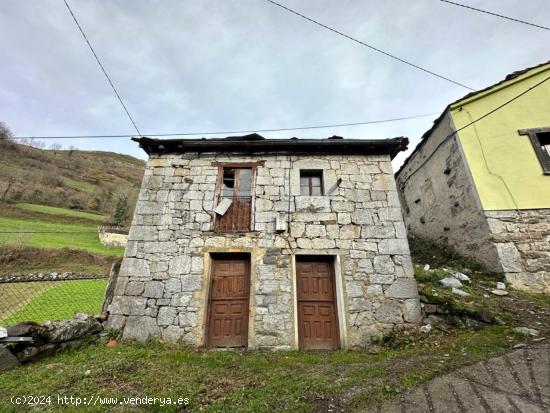 CASA DE PIEDRA PARA REFORMAR EN EL PUEBLO DE RIOALLER, PRINCIPADO DE ASTURIAS. - ASTURIAS