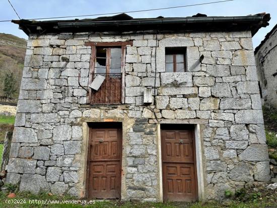 CASA DE PIEDRA PARA REFORMAR EN EL PUEBLO DE RIOALLER, PRINCIPADO DE ASTURIAS. - ASTURIAS