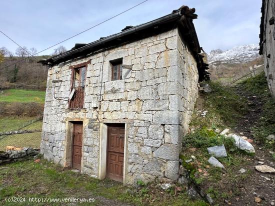 CASA DE PIEDRA PARA REFORMAR EN EL PUEBLO DE RIOALLER, PRINCIPADO DE ASTURIAS. - ASTURIAS