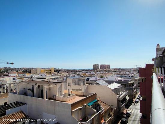 Ático Dúplex con Vistas al Mar en Torrevieja, Alicante - ALICANTE