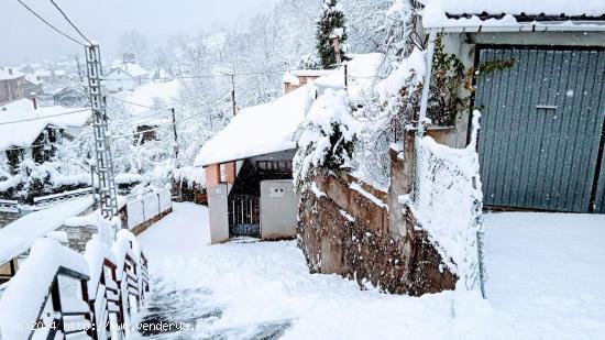 La casa ideal para los amantes de la naturaleza - LEON