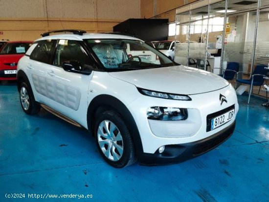 CITROEN C4 Cactus en venta en Palma de Mallorca (Islas Baleares) - Palma de Mallorca