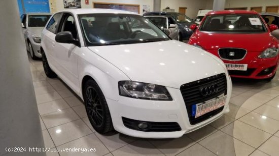  AUDI A3 en venta en Lugo (Lugo) - Lugo 