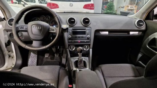 AUDI A3 en venta en Lugo (Lugo) - Lugo