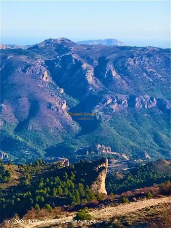  VENTA DE FINCA AGRICOLA EN LA SIERRA DE AITANA - ALICANTE 