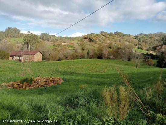 Casa con 2100 m2 de terreno para reformar en Solorzano 🌳🌳 - CANTABRIA