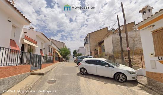  TERRENO URBANIZABLE EN PRADO DEL REY (CÁDIZ) - CADIZ 