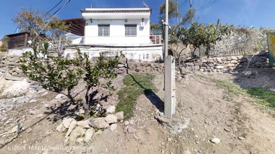  CASA CUEVA EN PINO SANTO CON TERRENO SANTA BRIGIDA - LAS PALMAS 