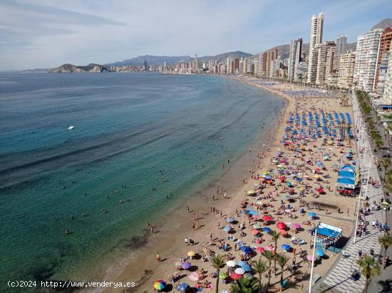 Apartamento en 1 Linea playa Levante con gran terraza y vistas espectaculares al mar. - ALICANTE