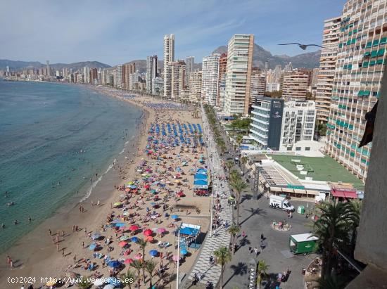 Apartamento en 1 Linea playa Levante con gran terraza y vistas espectaculares al mar. - ALICANTE