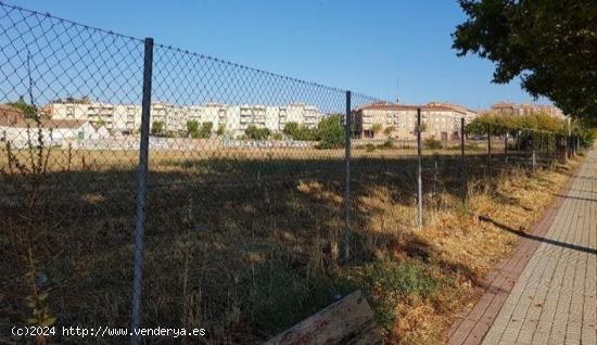  Urbis te ofrece un conjunto de dos terrenos en venta en zona Prosperidad, Salamanca. - SALAMANCA 