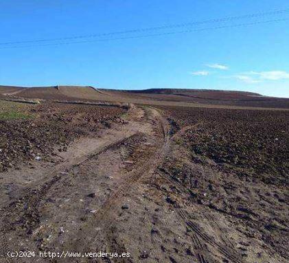 Urbis te ofrece un conjunto de cinco parcelas en zona Garrido Norte, Salamanca. - SALAMANCA