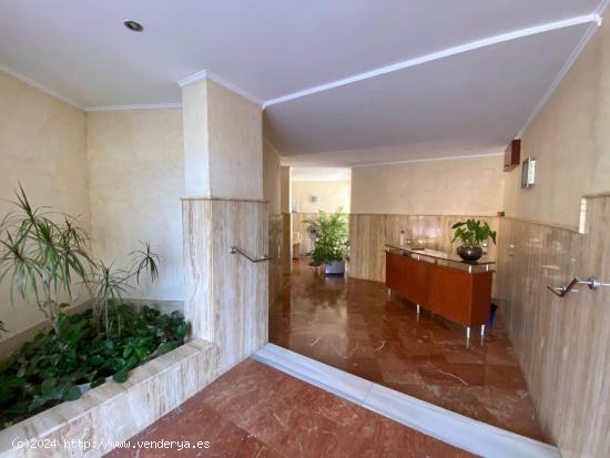 Espectacular Apartamento Reformado en el Corazón de Benidorm - ALICANTE