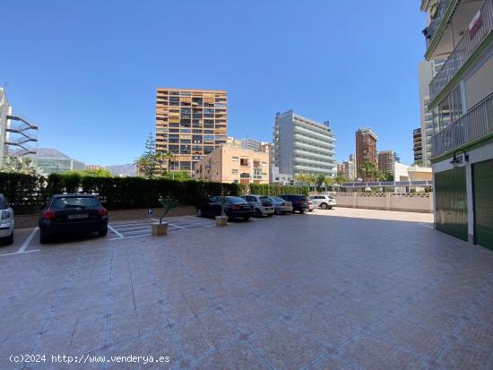 Espectacular Apartamento Reformado en el Corazón de Benidorm - ALICANTE