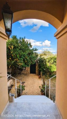 CASA PAREADA EN TOMARES - SEVILLA