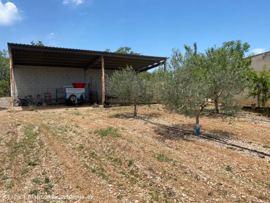 Casa de pueblo con gran terreno - TARRAGONA