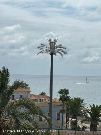  SE ALQUILA PISO JUNTO AL MAR - ALICANTE 