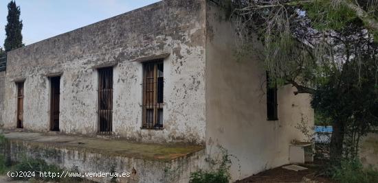 Finca rústica a 3 km de Amposta - TARRAGONA